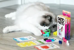 Gatto Matto - Il Rompicapo dei Gatti