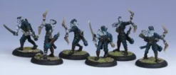 Legion of Everblight - Blighted Archers Unit