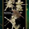 Malifaux 2nd Ed. - Bayou Bushwackers (3)