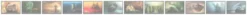 OFFERTA RAVEN PRIME - Calendario 2011 e 2022 - Dreamworlds by Frank Melech