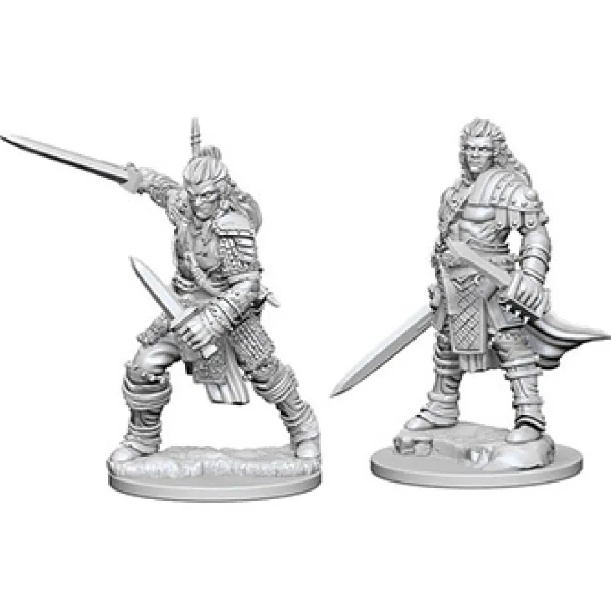 Pathfinder Deep Cuts Miniatures - Guerriero Umano Maschio