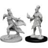 Pathfinder Deep Cuts Miniatures - Stregone Elfo Femmina