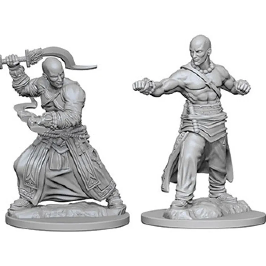 Pathfinder Deep Cuts Miniatures - Monaco Umano Maschio