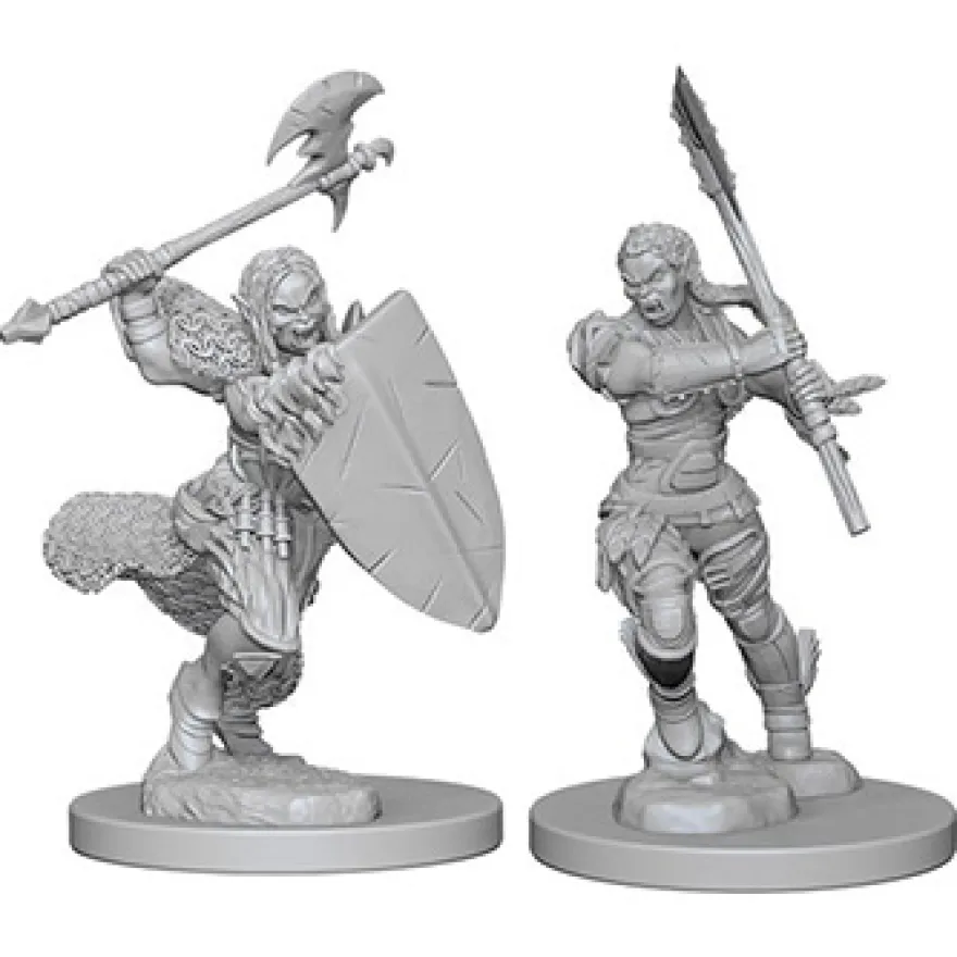 Pathfinder Deep Cuts Miniatures - Barbaro Mezzorco Femmina