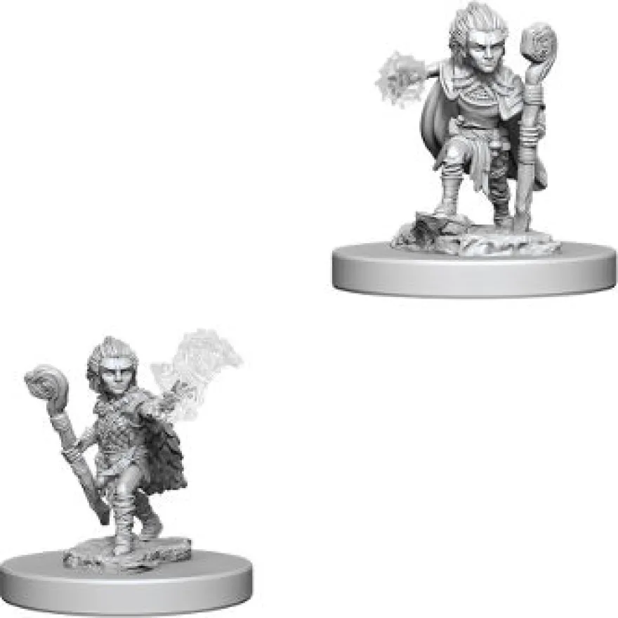 Pathfinder Deep Cuts Miniatures - Druido Gnomo Maschio
