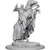 Pathfinder Deep Cuts Miniatures - Cavaliere su Cavallo