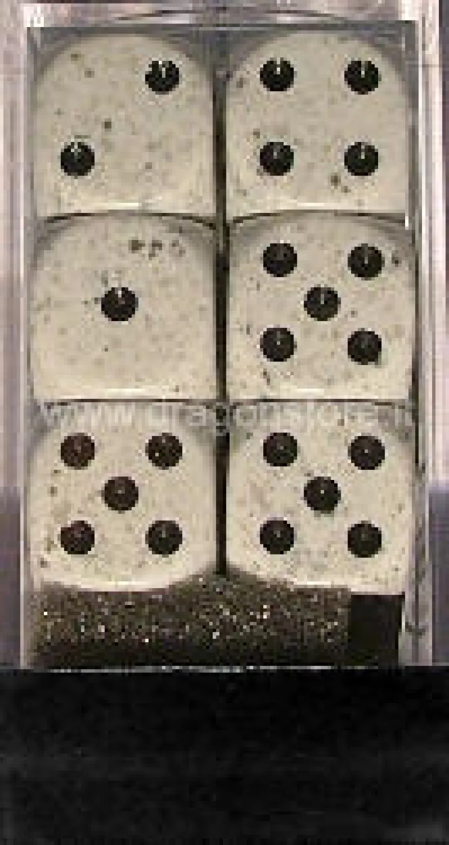 Set 12D6 Speckled - Mimetici Artici