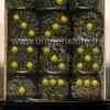 Set 36D6 Speckled - Mimetici Urbani