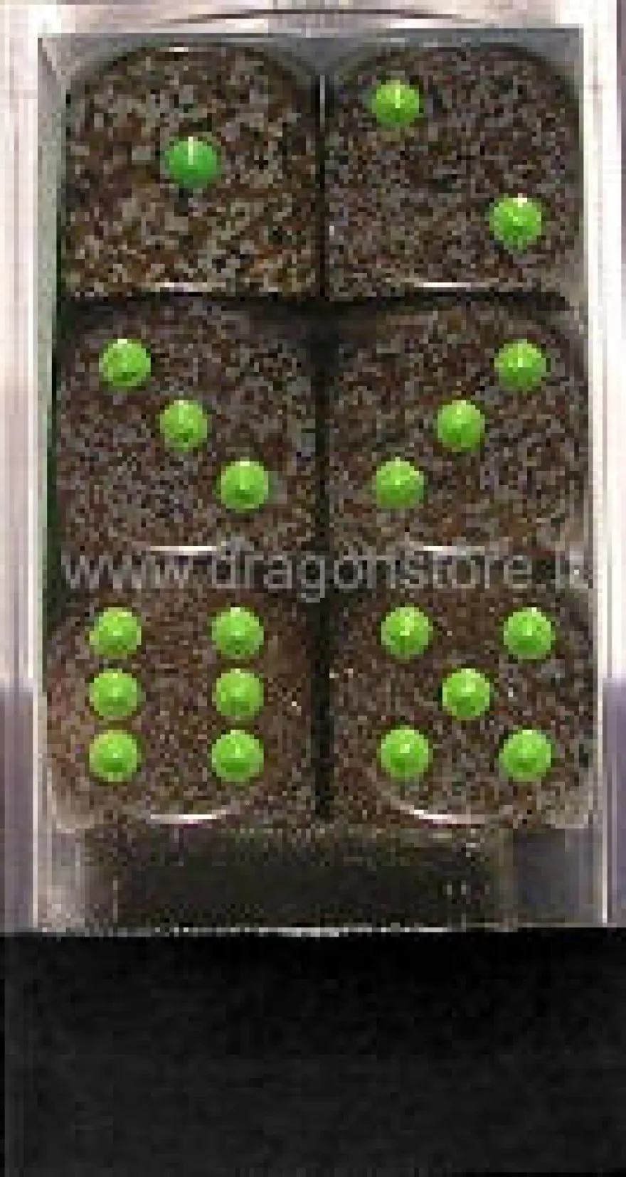 Set 12D6 Speckled - Terra
