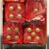 Set 12D6 Vortex - Burgundy/Oro