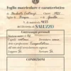 Un Altro Passo nella Neve - Librogame